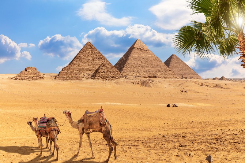 Vánoční dovolená v Egyptě - velbloudi s pyramidami