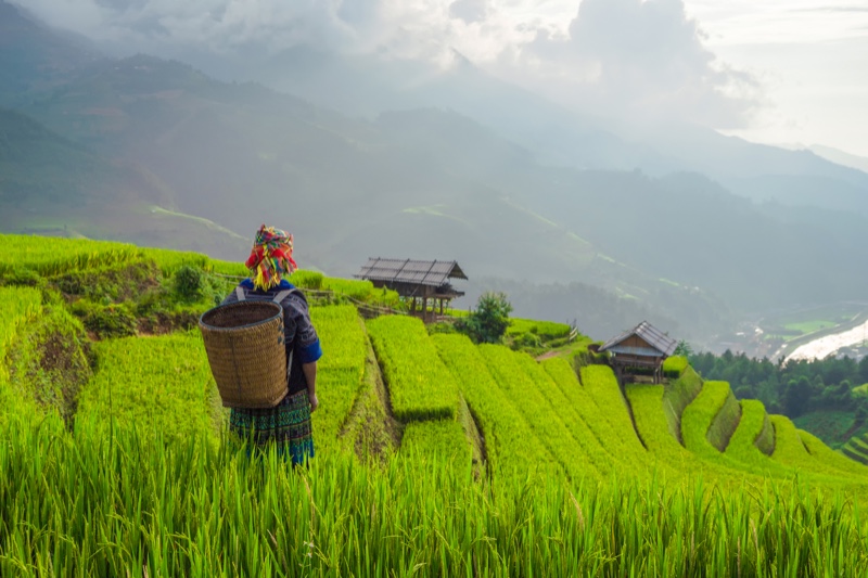 digitální nomádství vietnam